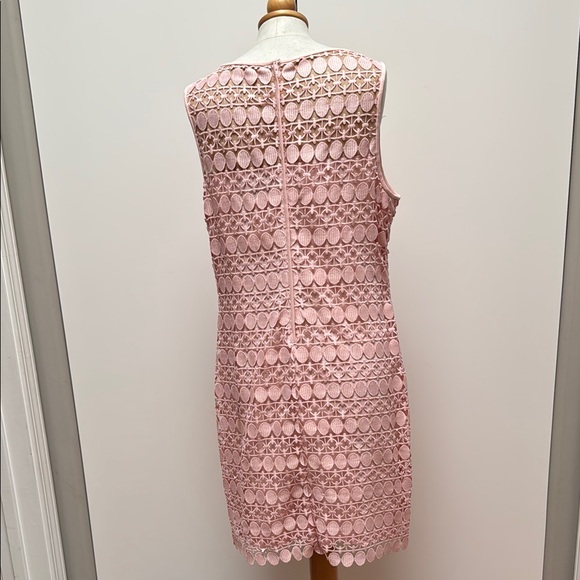 Elegant Pink Lace Dress - Picture 4 of 6